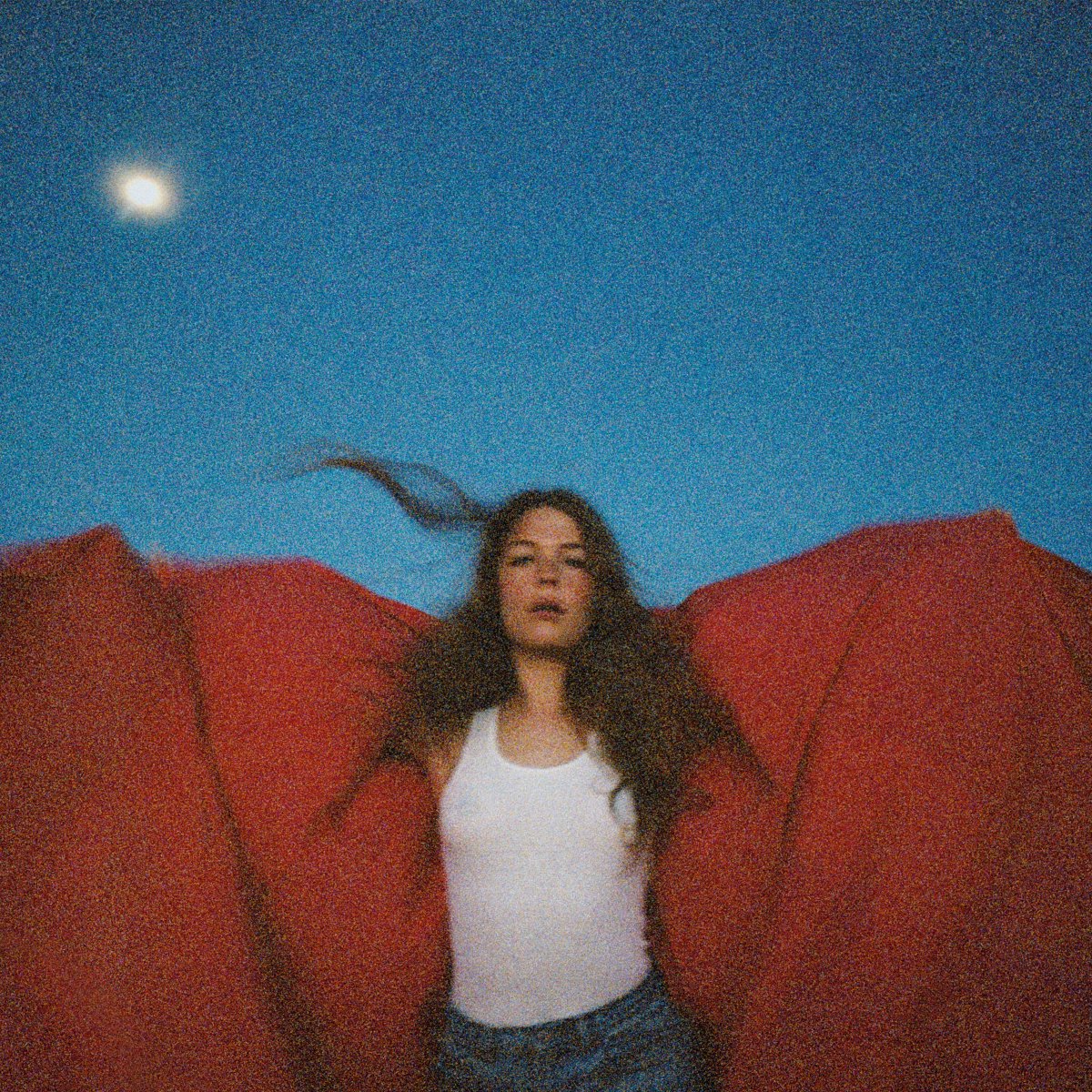 Review: “Heard It In A Past Life” by Maggie Rogers